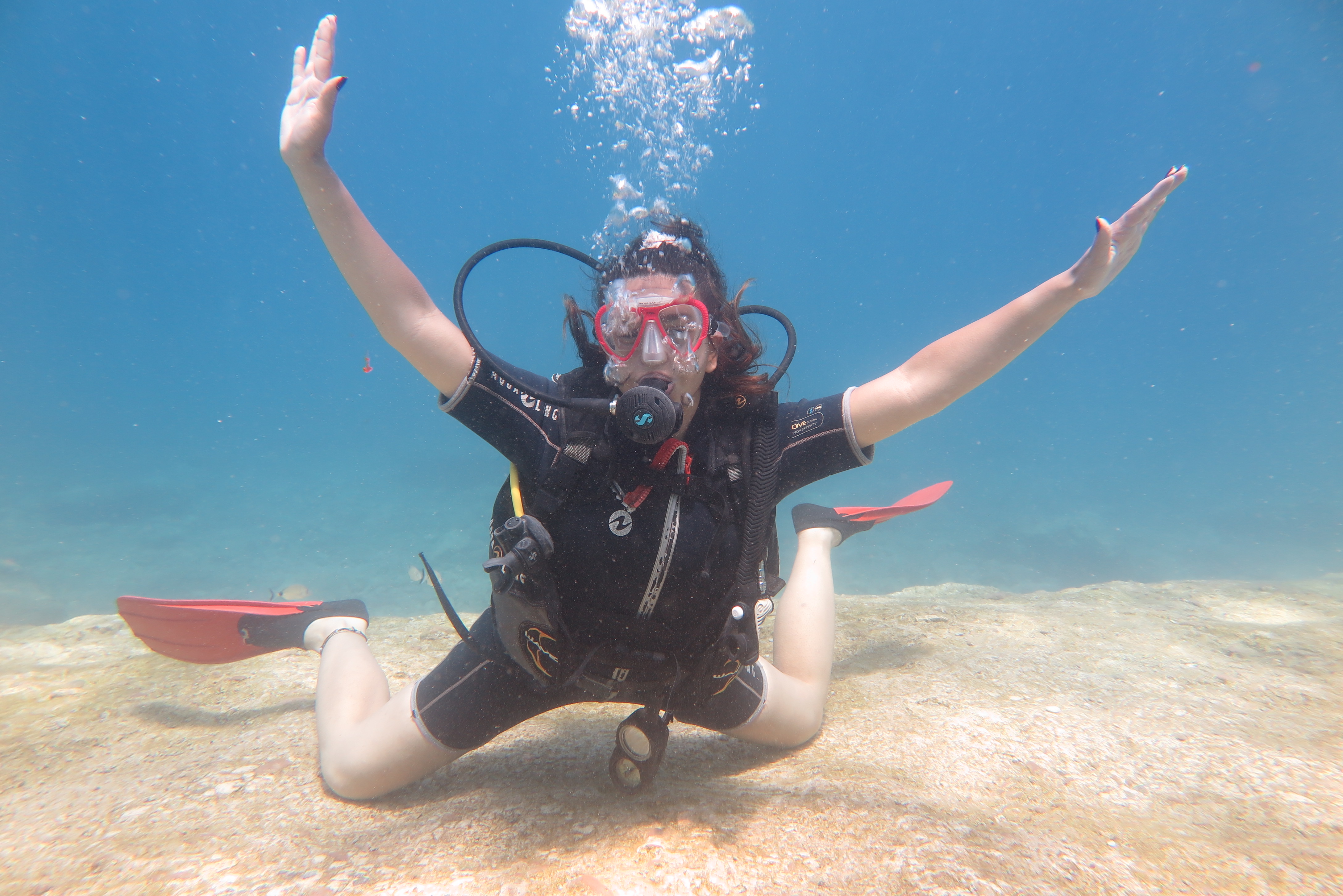Hourly or Daily Diving?