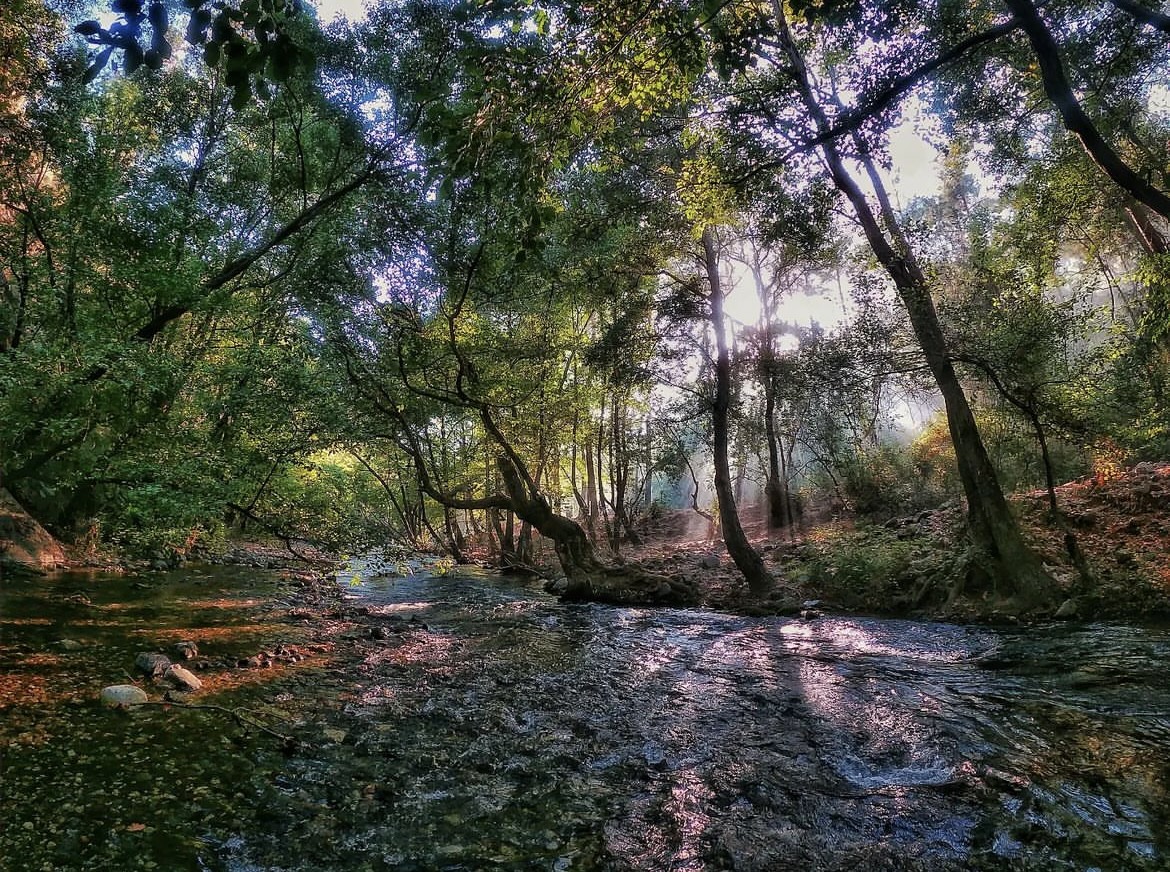Green Valley