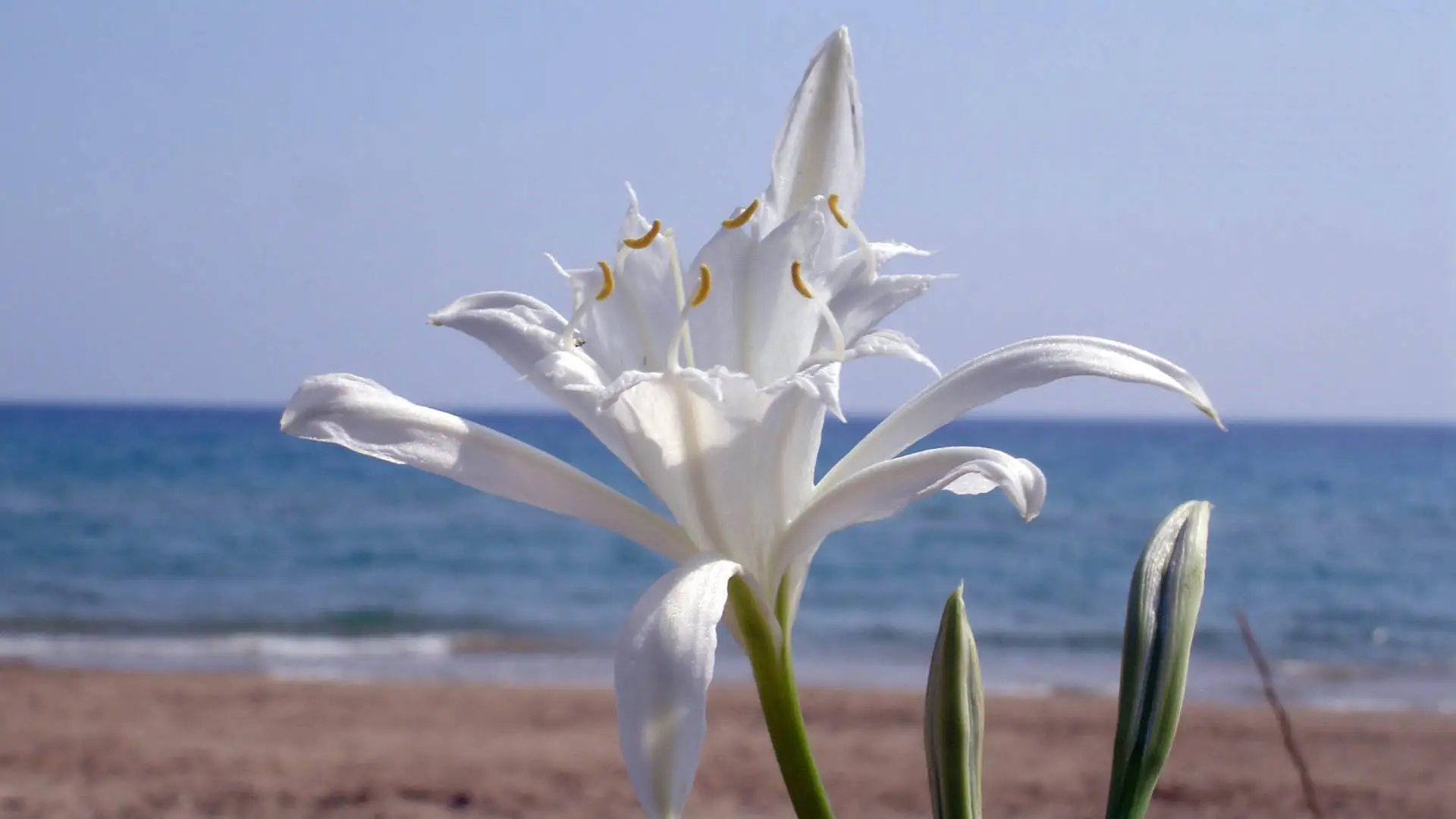 Story Of The Name Ölüdeniz